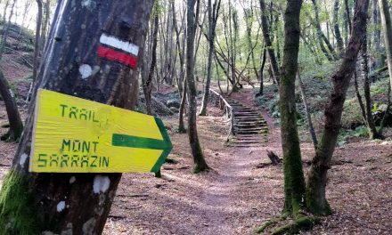 10-10-2016 – Trail du mont Sarrazin (Nemours – 77)